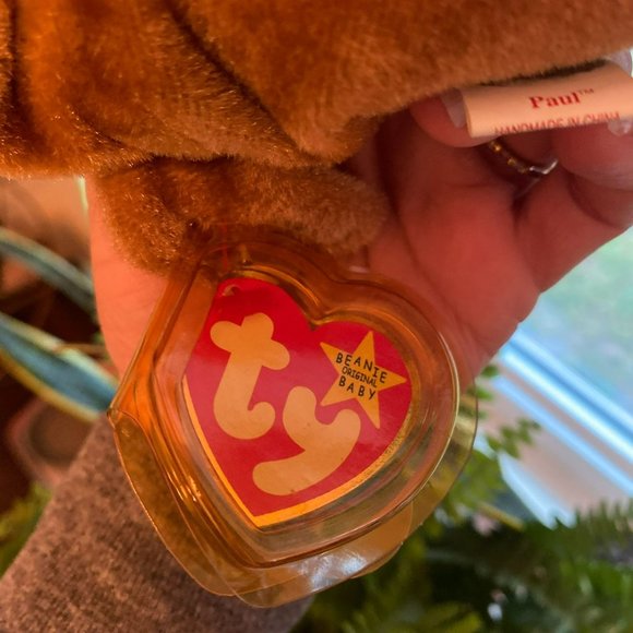 Ty Beanie Baby -  Paul the Walrus - Style Number #04248 - Picture 3 of 6